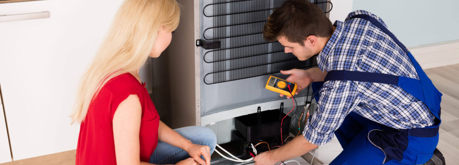 Refrigerator Repair Service Same Day Fridge Repairs