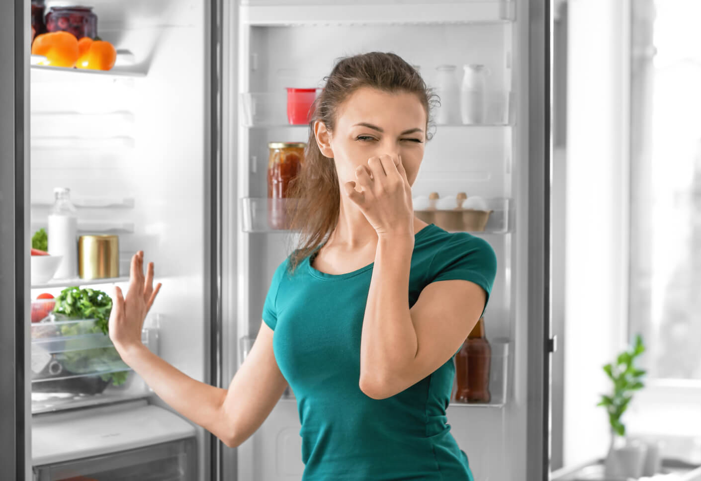 how to get rid of smelly fridge