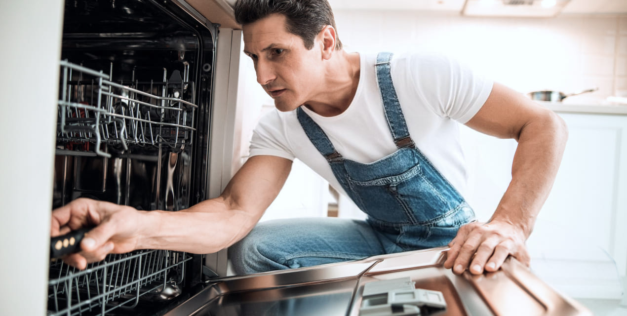 dishwasher repair Georgetown